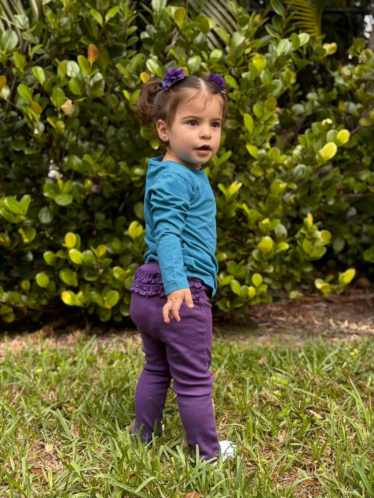 Baby Ruffle Butt Soft Cotton Leggings | Plum