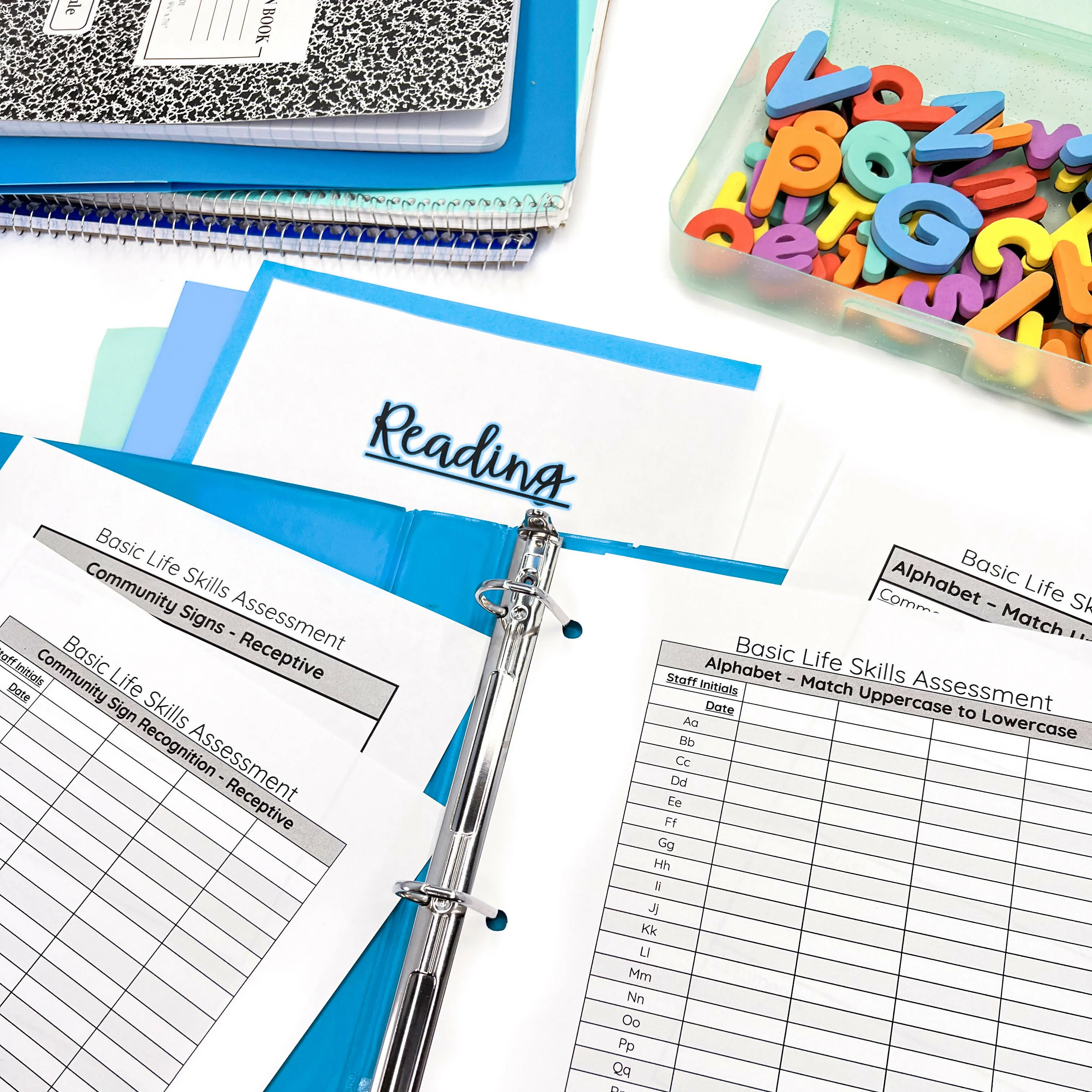 Basic Skills Special Education | Baseline Assessment with Data Sheets | Printable Teacher Resources | Full SPED Ahead